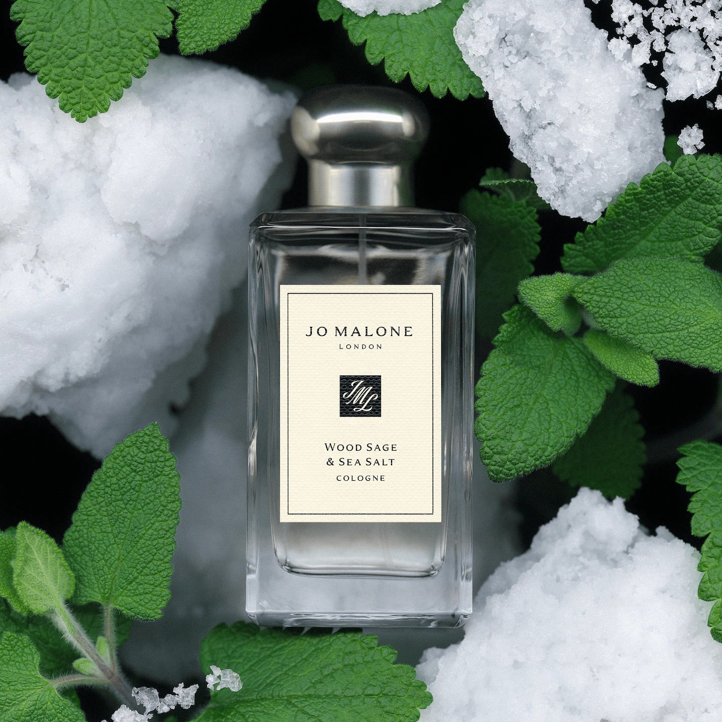 WOOD SAGE & SEA SALT